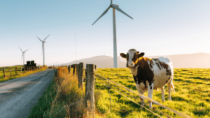 UK’s first consumer owned wind farm launches